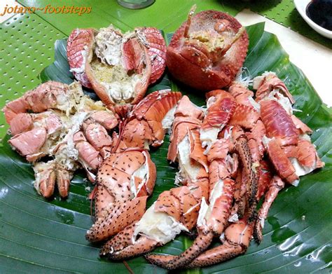 coconut crab in the philippines|Batanes’ Culinary Celebrity: The Coconut Crab (or .